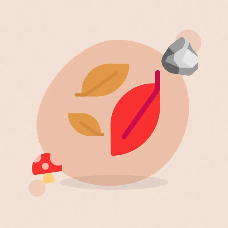 Nature collection walk (illustration)