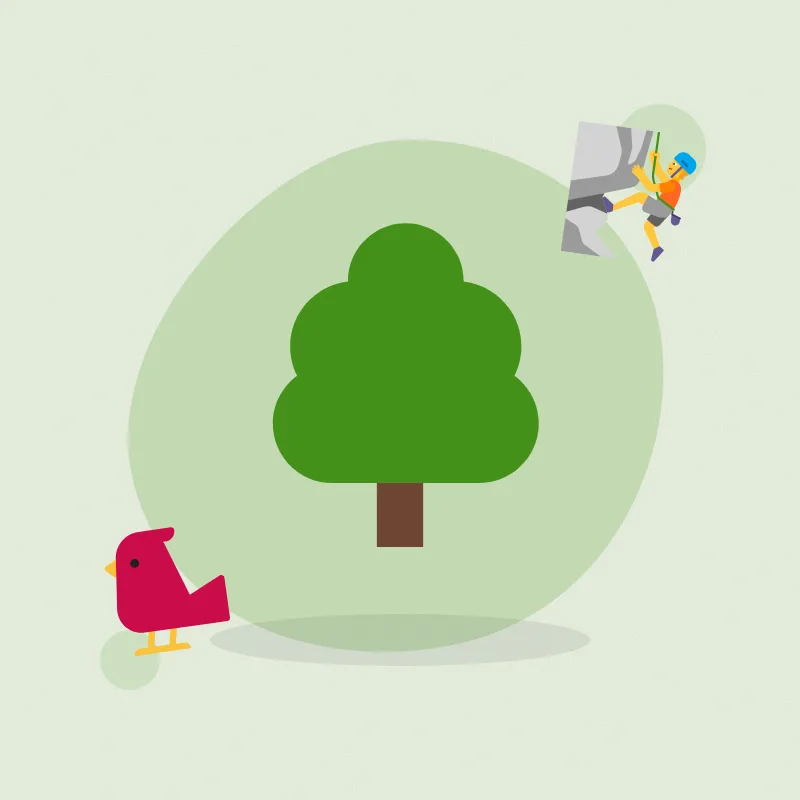 Tree climbing, done carefully (illustration)